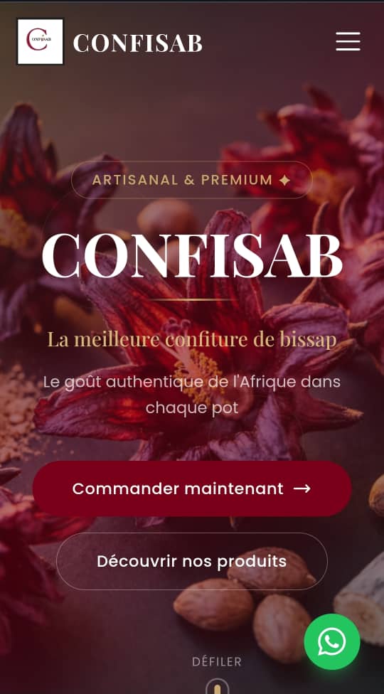 Site Web Confisab